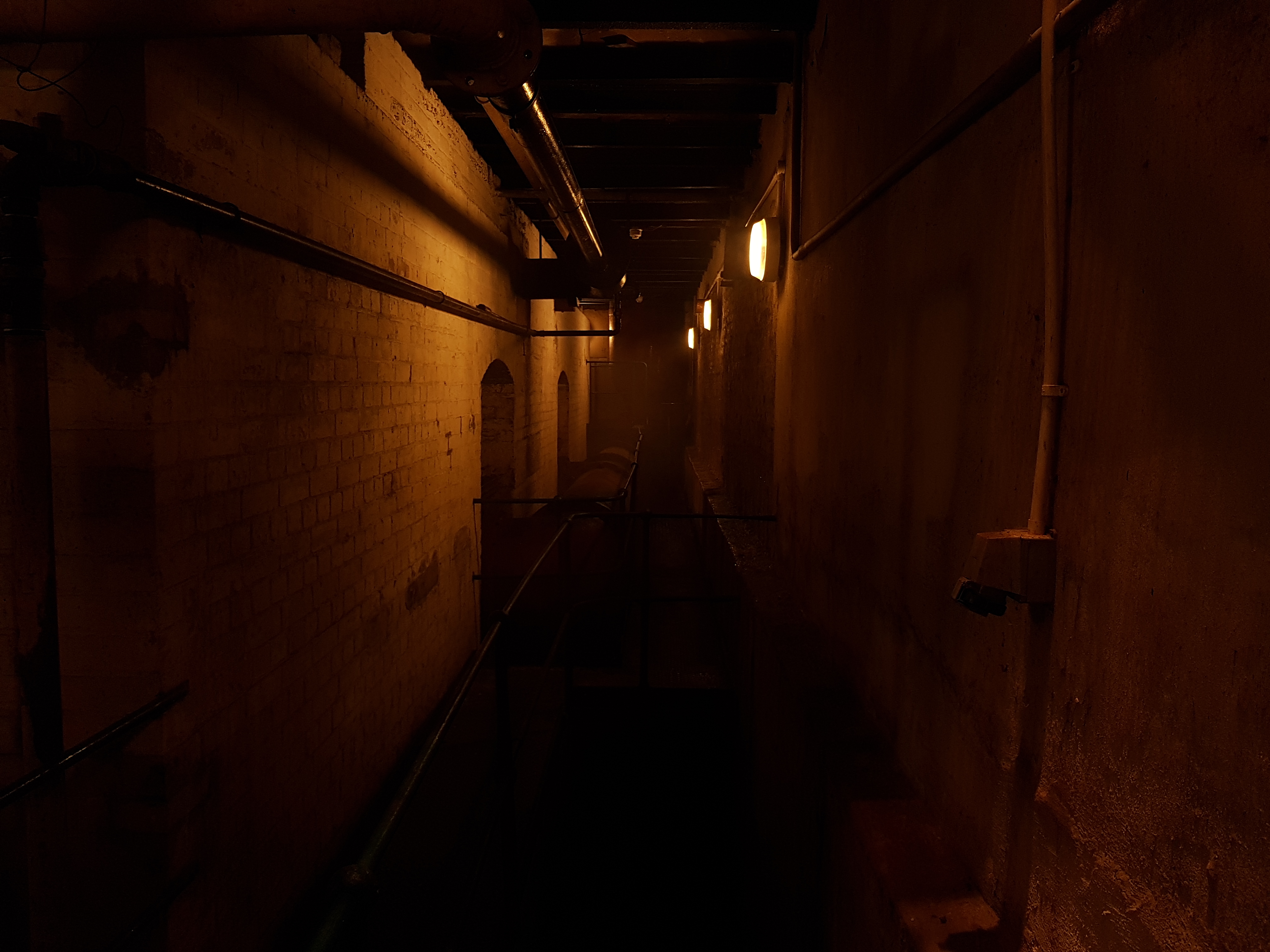 The basement